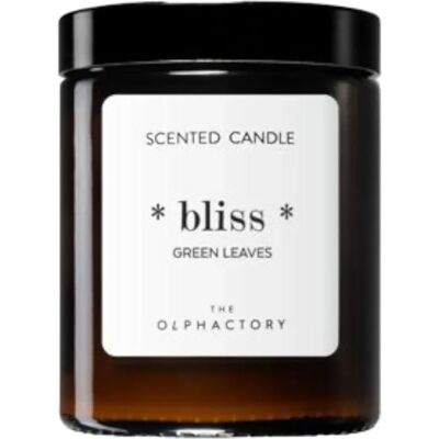 Ambientair The Olphactory Green Leaves Scented Candle - Home Decor Ambientair The Olphactory Green Leaves Scented Candle - Home Decor