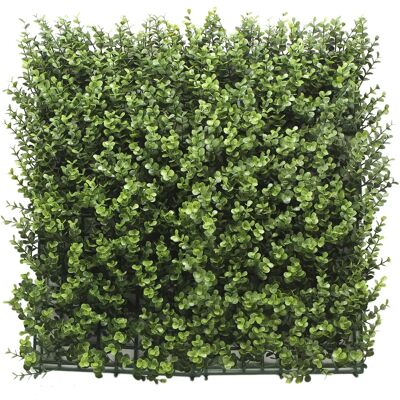 Jardín Vertical Buxus Gardeneas - Pack 4 Paneles 50x50cm Jardín Vertical Buxus Gardeneas - Pack 4 Paneles 50x50cm