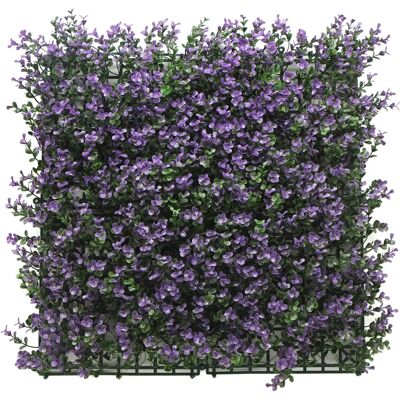 Gardeneas Buxus Lavanda Jardín Vertical Gardeneas Buxus Lavanda Jardín Vertical
