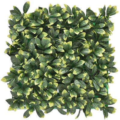 Bonerva - Jardín Vertical Laurel Pack 4 - Pared Verde Artificial 50x50cm Bonerva - Jardín Vertical Laurel Pack 4 - Pared Verde Artificial 50x50cm
