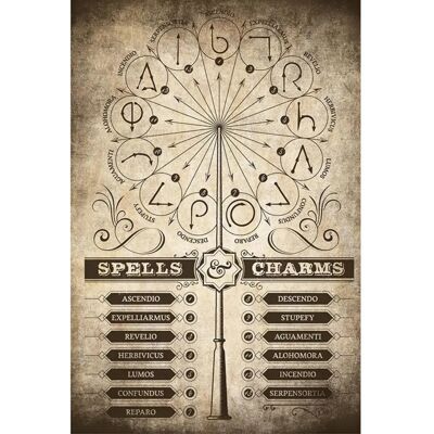 Grupo Erik Poster Harry Potter Spells and Charms 61x91,5cm Grupo Erik Poster Harry Potter Spells and Charms 61x91,5cm