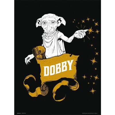 Grupo Erik Harry Potter Dobby Kunstdruk 30x40cm Grupo Erik Harry Potter Dobby Kunstdruk 30x40cm