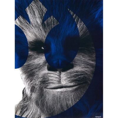 Grupo Erik Chewbacca Kunstdruk - Star Wars 30x40cm Grupo Erik Chewbacca Kunstdruk - Star Wars 30x40cm
