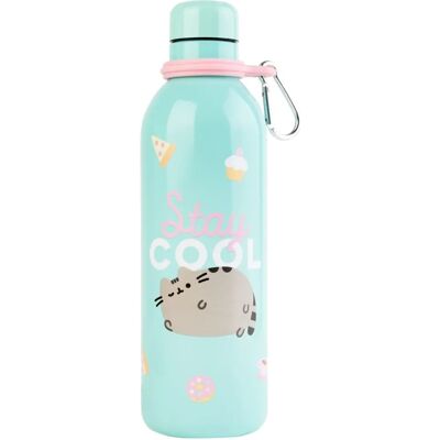 Pusheen - Isolierte Edelstahlflasche - 500 ml - BEM'S Flasche Pusheen - Isolierte Edelstahlflasche - 500 ml - BEM'S Flasche
