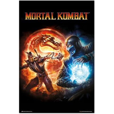 Ninja & Drago Mortal Kombat 9 Affisch - Väggdekor Ninja & Drago Mortal Kombat 9 Affisch - Väggdekor