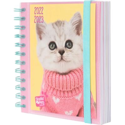 Studio Pets Kalender 2022/23 Dagliga 11 månader Katter - Planer Studio Pets Kalender 2022/23 Dagliga 11 månader Katter - Planer