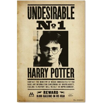 GRUPO ERIK Harry Potter Poster No.1 - 61x91.5cm GRUPO ERIK Harry Potter Poster No.1 - 61x91.5cm