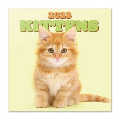 Calendario Muro 2023 Gatti - 30x30 cm Calendario Muro 2023 Gatti - 30x30 cm
