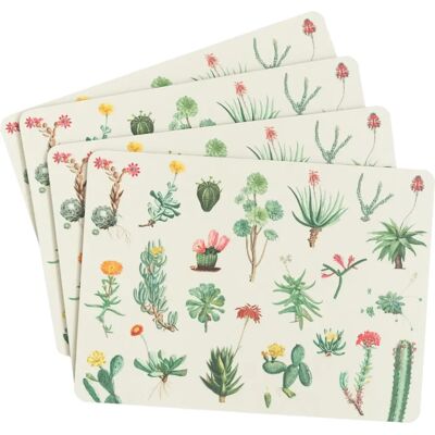 Kokonote Erik Botanical Cacti - Table Coasters Set of 4 Kokonote Erik Botanical Cacti - Table Coasters Set of 4