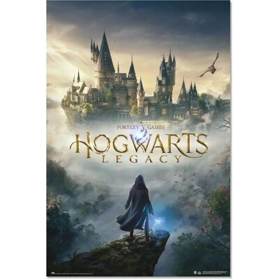 Poster Harry Potter Hogwarts Legacy Erik - 91,5x61cm Poster Harry Potter Hogwarts Legacy Erik - 91,5x61cm