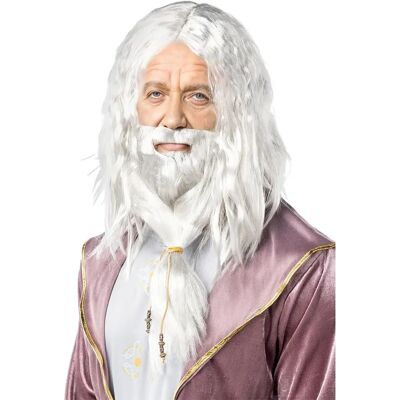 Funiglobal Ensemble Perruque et Barbe Harry Potter - Gris / Argent - Accessoire Costume - Publicité Funiglobal Ensemble Perruque et Barbe Harry Potter - Gris / Argent - Accessoire Costume - Publicité