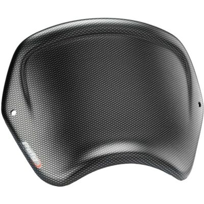 Pare-brise PUIG 3591C Style Carbone - Windshield - Publicité Pare-brise PUIG 3591C Style Carbone - Windshield - Publicité