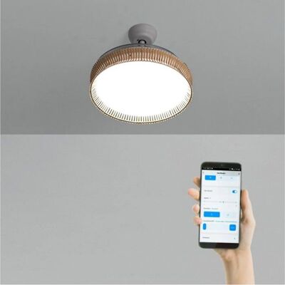 CREATE - Wind Clear Rattan - Ø107cm - Ventilateur de plafond - Publicité CREATE - Wind Clear Rattan - Ø107cm - Ventilateur de plafond - Publicité