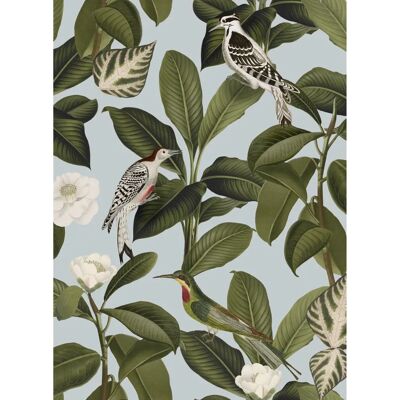 Papel pintado Rocio de Coordonné - Diseño de plantas y pájaros Papel pintado Rocio de Coordonné - Diseño de plantas y pájaros