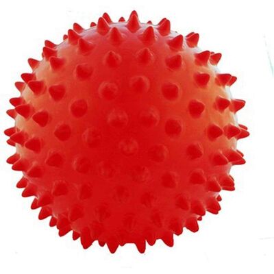 SOFTEE Palla Massaggiante - Accessorio Fitness - 65 cm SOFTEE Palla Massaggiante - Accessorio Fitness - 65 cm