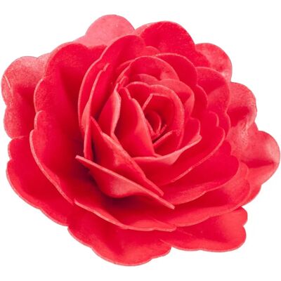 Dékora Rose Rouge Géante Comestible - Décoration Alimentaire - Publicité Dékora Rose Rouge Géante Comestible - Décoration Alimentaire - Publicité