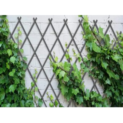 Gabbia da Giardino COMERCIAL CANDELA - 50x150cm Grigio Gabbia da Giardino COMERCIAL CANDELA - 50x150cm Grigio