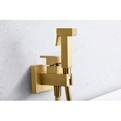 Imex RDM003/OC Robinet Bidet Encastré Or Brossé - Bidet Intégré - Publicité Imex RDM003/OC Robinet Bidet Encastré Or Brossé - Bidet Intégré - Publicité