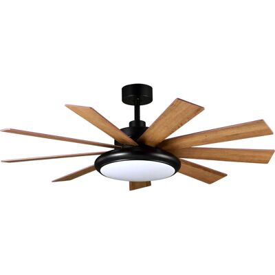 Fabrilamp Pireo Hêtre, Noir, Chêne - Ventilateur de plafond - Publicité Fabrilamp Pireo Hêtre, Noir, Chêne - Ventilateur de plafond - Publicité