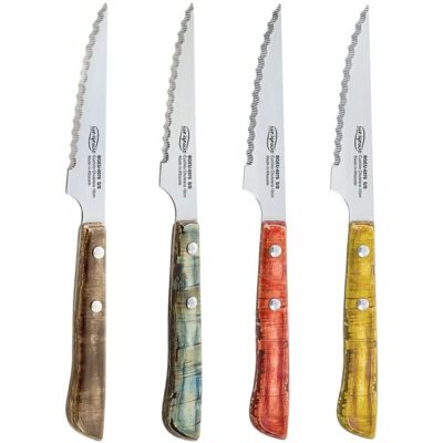 San Ignacio BGEU-6076 Mehrfarbiges Fleischmesserset - Fleischmesser San Ignacio BGEU-6076 Mehrfarbiges Fleischmesserset - Fleischmesser