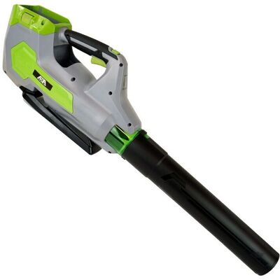 Soplador de hoja de batería 60V Akita - Ligero y potente Soplador de hoja de batería 60V Akita - Ligero y potente
