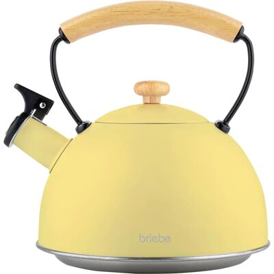 ELECTRO-ACTIVA Briebe Jaune Pastel Vintage Théière - Inox Induction - Publicité ELECTRO-ACTIVA Briebe Jaune Pastel Vintage Théière - Inox Induction - Publicité