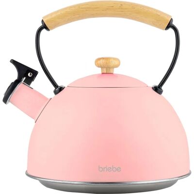Electro-Activa Pastell Pink 2,3L Vintage Edelstahl-Kessel mit Holzgriff Electro-Activa Pastell Pink 2,3L Vintage Edelstahl-Kessel mit Holzgriff