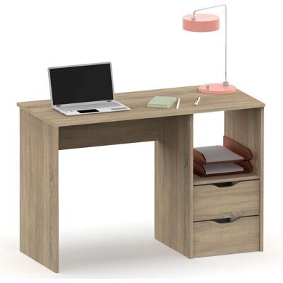 Briebe Prakt Escritorio - Mesa de Oficina Moderna con 2 Cajones 115cm Briebe Prakt Escritorio - Mesa de Oficina Moderna con 2 Cajones 115cm