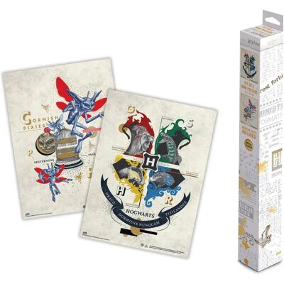 ERIK EDITORES Mini Affiches Harry Potter - Mini Posters ERIK EDITORES Mini Affiches Harry Potter - Mini Posters