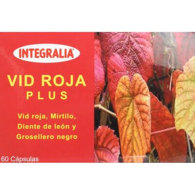Integralia Rote Wein Plus 60 Kapseln - Nahrungsergänzungsmittel Integralia Rote Wein Plus 60 Kapseln - Nahrungsergänzungsmittel