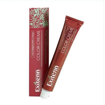 Coloration Permanente Violet Exitenn - Crème - 60ml Coloration Permanente Violet Exitenn - Crème - 60ml