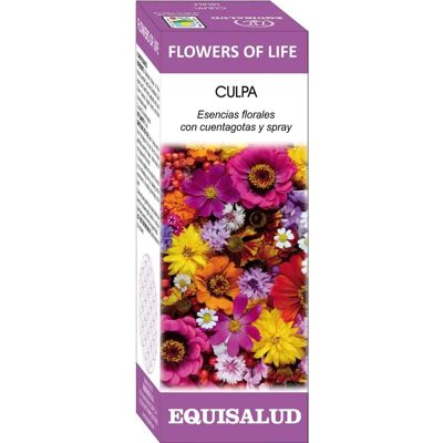 Equisalud Blume des Lebens Schuld Elixier Equisalud Blume des Lebens Schuld Elixier
