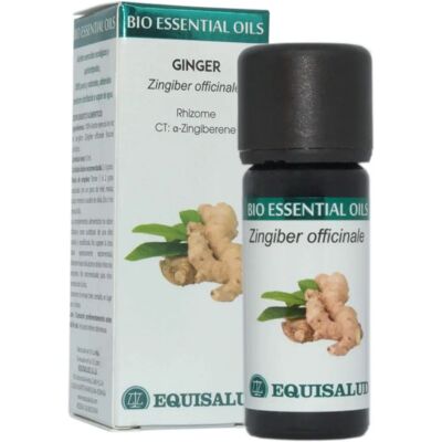 Equisalud Ginger Essential Oil - 10ml Bio - Reumatism Relief Equisalud Ginger Essential Oil - 10ml Bio - Reumatism Relief