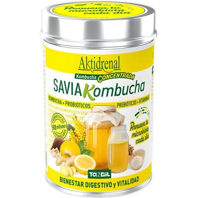 Tongil Kombucha Sap 100 g pó - Probiótico e Digestão Tongil Kombucha Sap 100 g pó - Probiótico e Digestão