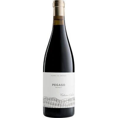 Telmo Rodríguez Pegaso Granito - Rotwein Telmo Rodríguez Pegaso Granito - Rotwein