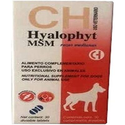 Chemical Iberica MSM för Mellanstora Hundar - Kosttillskott Chemical Iberica MSM för Mellanstora Hundar - Kosttillskott
