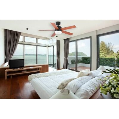 Ventilatore a soffitto Blaupunkt BP2011 70W - 122cm - Nero Ventilatore a soffitto Blaupunkt BP2011 70W - 122cm - Nero