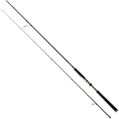 Canna da spinning Cinnetic Raycast Xbr Sea Bass Mh Game Canna da spinning Cinnetic Raycast Xbr Sea Bass Mh Game