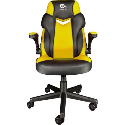 Silla de Videojuegos Talius CRAB-GRN - Ergonómica, Universal, 120kg Silla de Videojuegos Talius CRAB-GRN - Ergonómica, Universal, 120kg