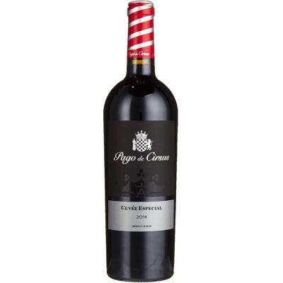 Pago de Cirsus Cuvée Especial - Wein Pago de Cirsus Cuvée Especial - Wein