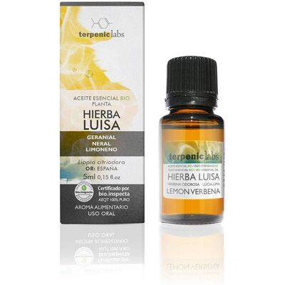 Terpenic Organic Lemongrass Essential Oil - Essential Oil Terpenic Organic Lemongrass Essential Oil - Essential Oil