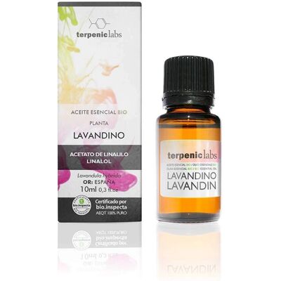 Óleo Essencial de Lavanda - Óleo Essencial Óleo Essencial de Lavanda - Óleo Essencial