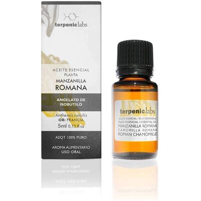 Óleo Essencial de Camomila Romana Terpenic - Óleo Essencial Óleo Essencial de Camomila Romana Terpenic - Óleo Essencial