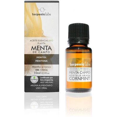 Terpenic Bio Minzöl - Ätherisches Öl Terpenic Bio Minzöl - Ätherisches Öl