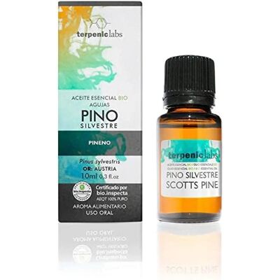 Terpenic Wild Pine Essential Oil - Ätherisches Öl Terpenic Wild Pine Essential Oil - Ätherisches Öl