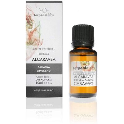 Terpenic Kümmel Ätherisches Öl - 10ml Terpenic Kümmel Ätherisches Öl - 10ml