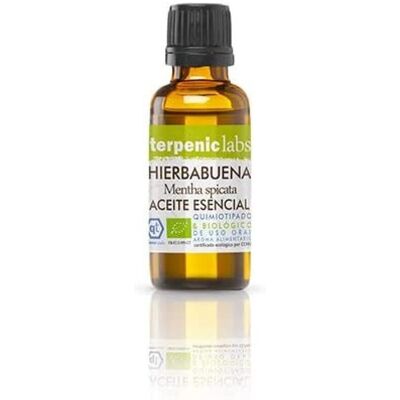 Terpenic Labs Pfefferminze Bio 30 ml - Kräuteröl Terpenic Labs Pfefferminze Bio 30 ml - Kräuteröl