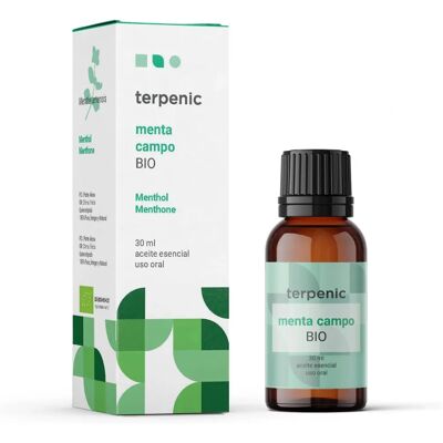 Terpenic Mint Essential Oil - 30ml Terpenic Mint Essential Oil - 30ml