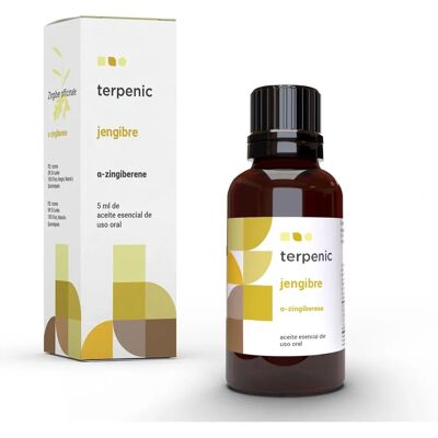 Terpenic Ginger Essential Oil - Digestive, Calming, Nausea Relief Terpenic Ginger Essential Oil - Digestive, Calming, Nausea Relief