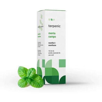 Terpenic Minze Campo 10ml - Ätherisches Öl Terpenic Minze Campo 10ml - Ätherisches Öl
